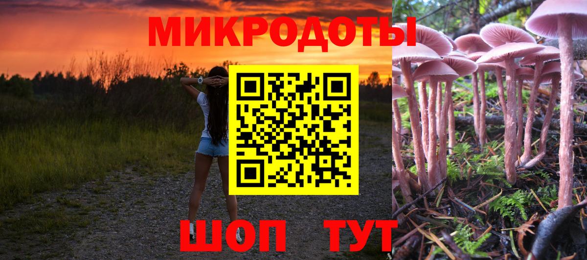 Южно-Сахалинск  купить наркотик  Псилоцибиновые грибы GOLDEN TEACHER  Вход с VPN  Галлюциногенные грибы GOLDEN TEACHER 