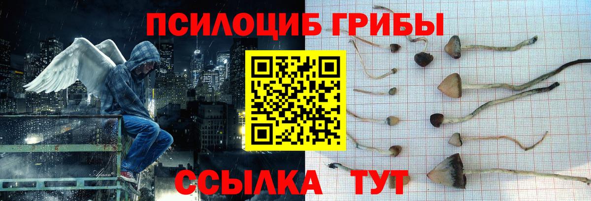 LSD-25 Южно-Сахалинск